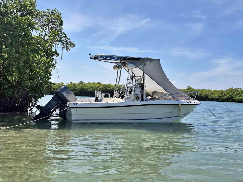 1997 Seapro 19 for sale in Salinas, PR