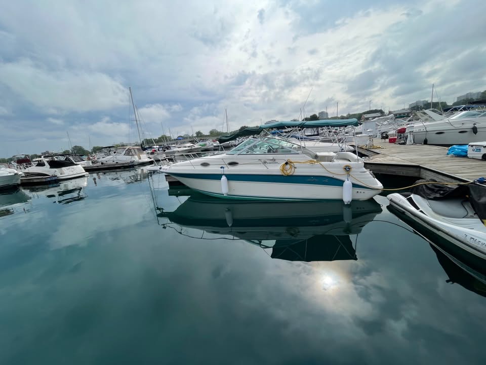 1994 Sea Ray Sundancer 270 for sale in Chicago, IL