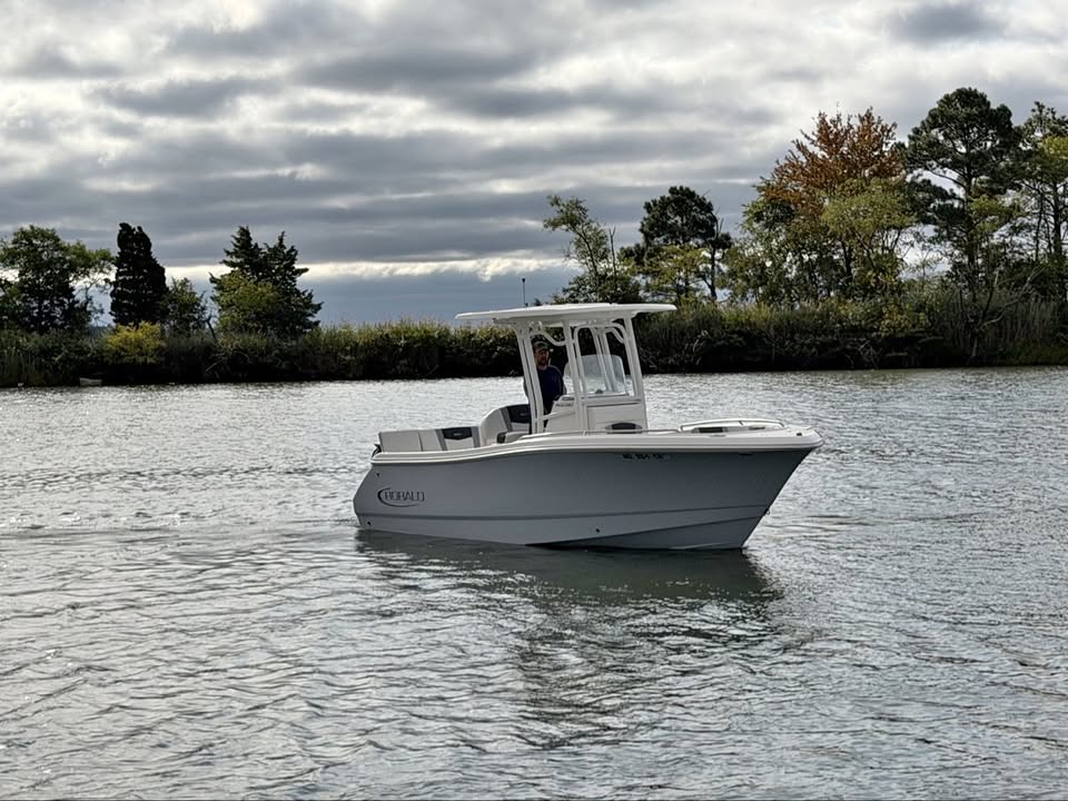 2023 Robalo R230 - Only 110 Hours | Yamaha 250 SHO | Simrad | New Aluminum Trailer for sale in Chester, MD