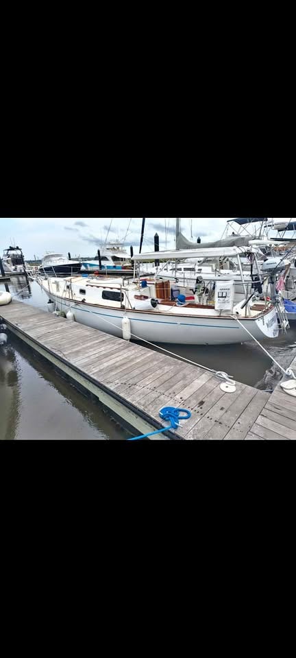 Morgan 382 ** looking for a trade** for sale in Charleston, SC