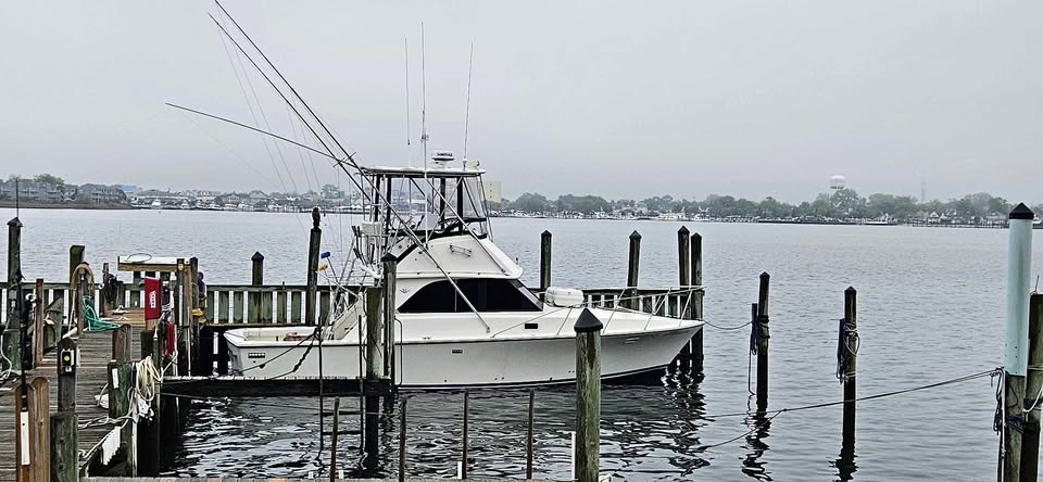 1984 Bertram 35 convertible sports fish for sale in Neptune Twp, NJ