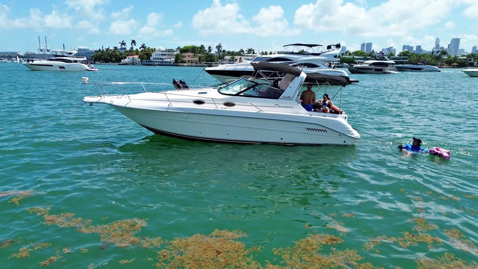 2000 Searay Sundancer 310 for sale in Cutler Bay, FL