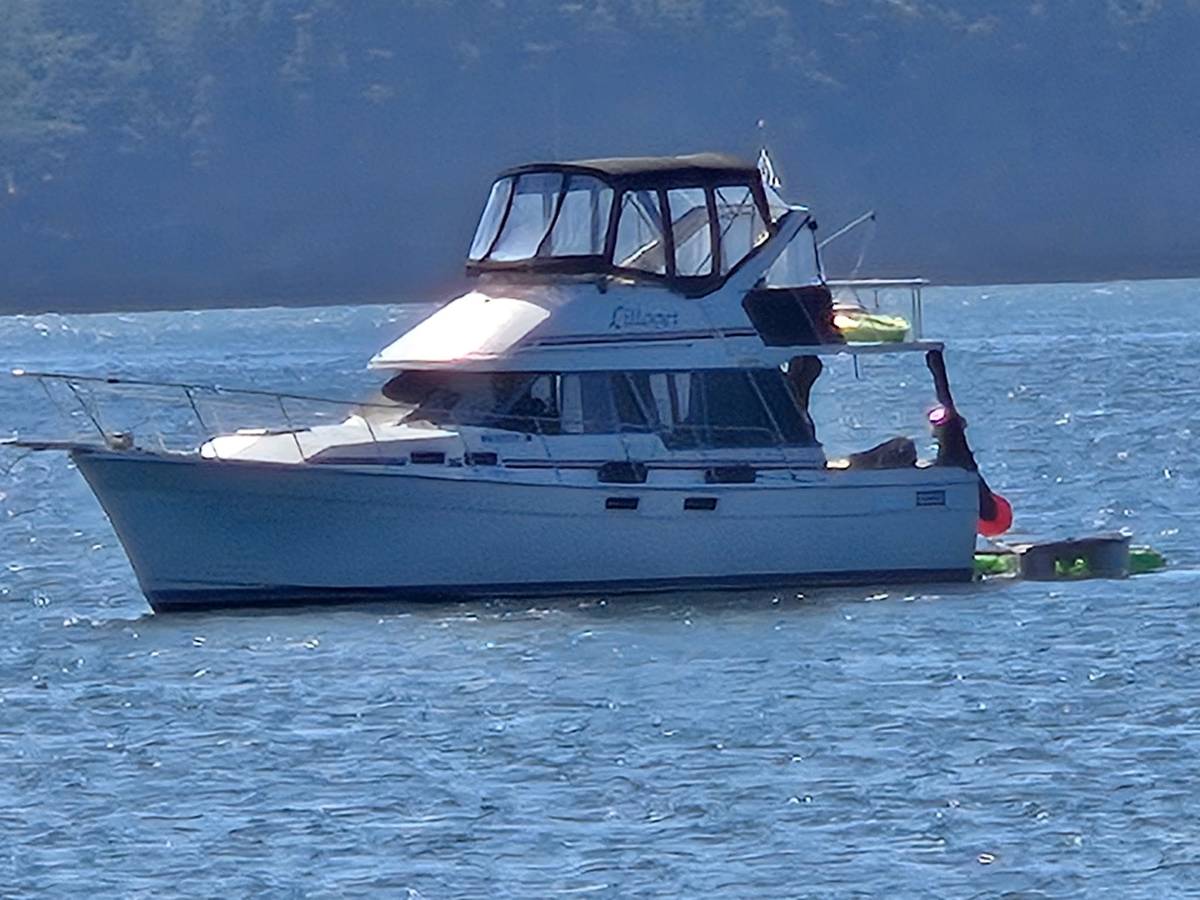 There's Plenty of Sunny Days Coming! Get Your Boat Now! for sale in Bellingham