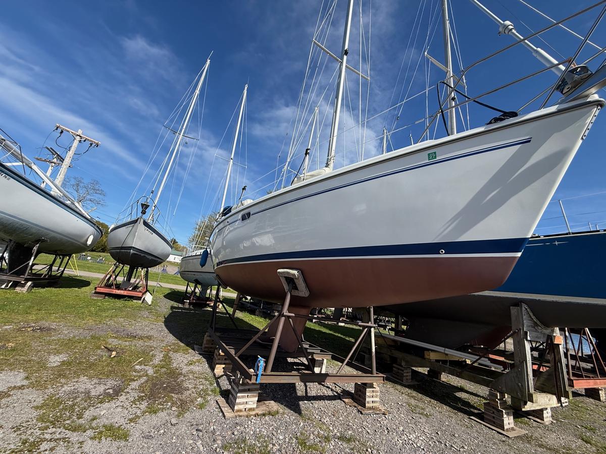 32' Catalina 320 for sale in New York