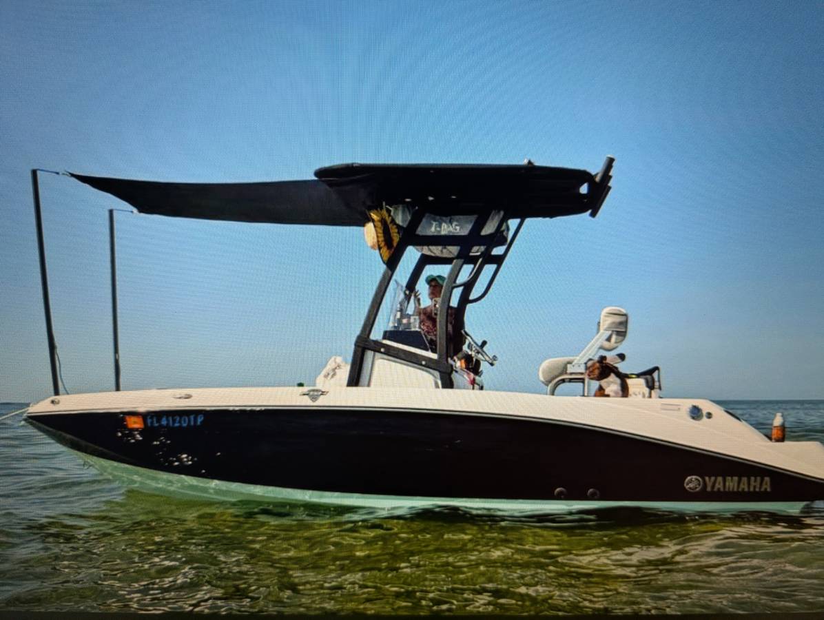 2023 Yamaha 195 FSH Boat for sale in Spring Hill