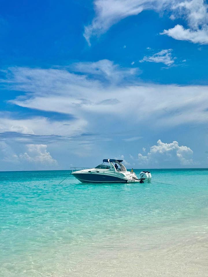 2005 Searay Sundancer 280 for sale in North Miami Beach, FL