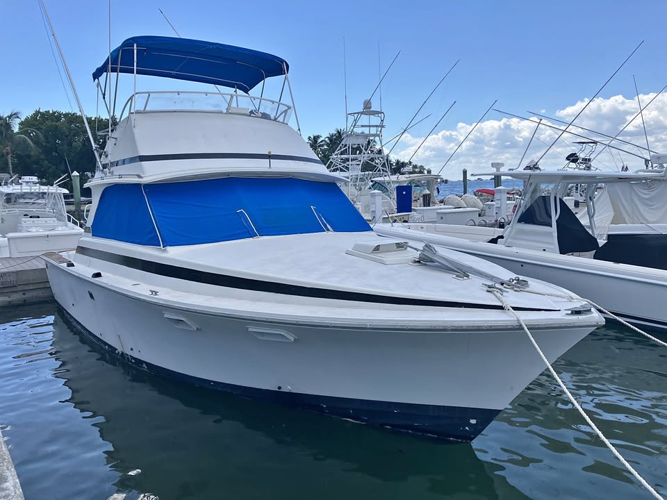 1970 Bertram 35 sport fish for sale in Miami, FL