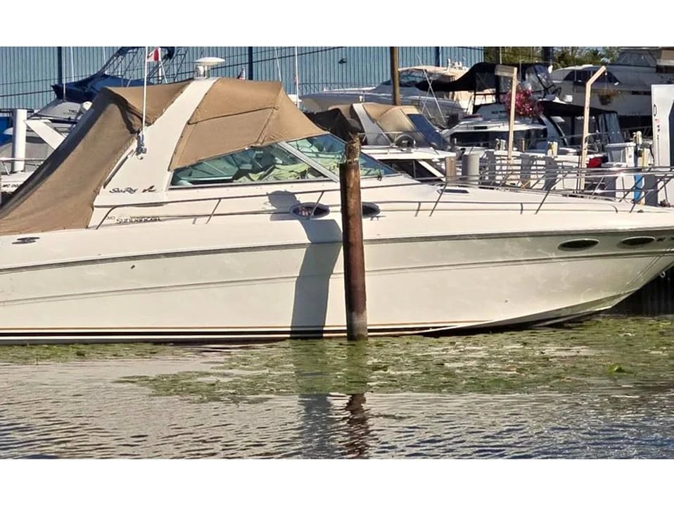 2001 Sea Ray Sundancer 310 for sale in New Baltimore, MI