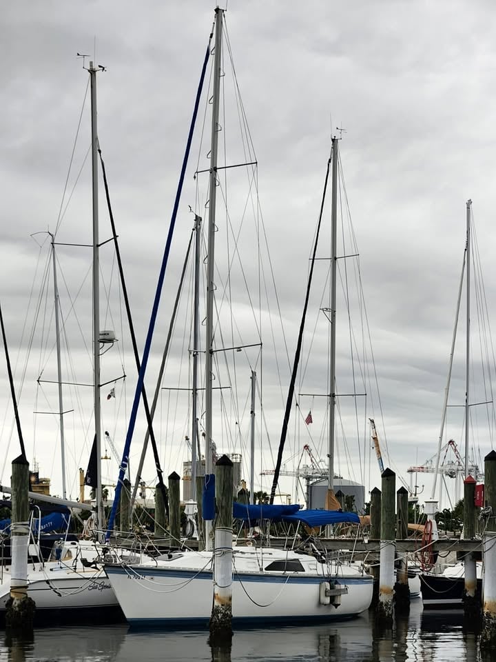 1984 Hunter 31 foot for sale in Tampa, FL