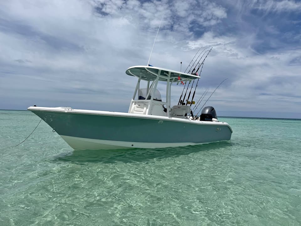 2019 Seahunt 211 for sale in Satsuma, AL