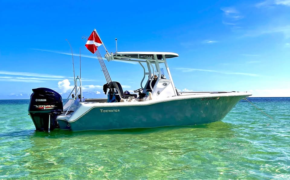 2020 Tidewater 232CC for sale in Summerville, SC