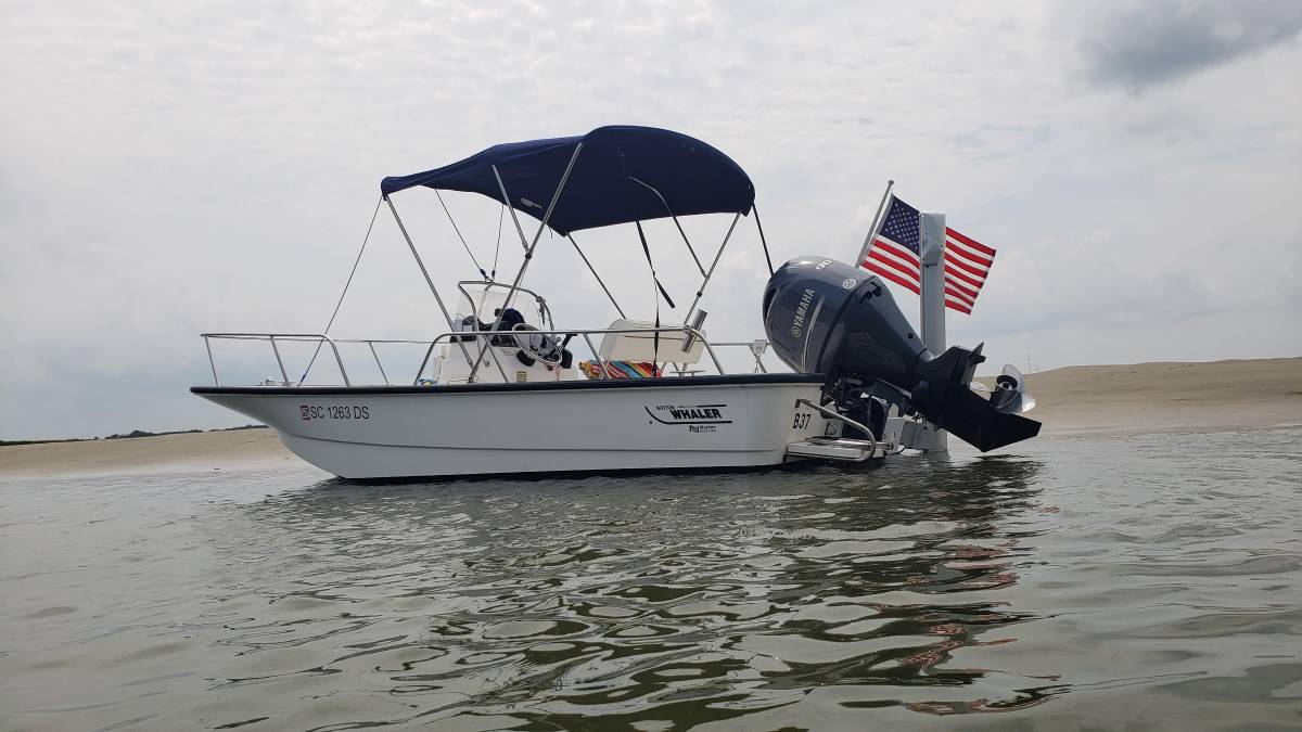 Boston Whaler Montauk for sale in Hiltonhead