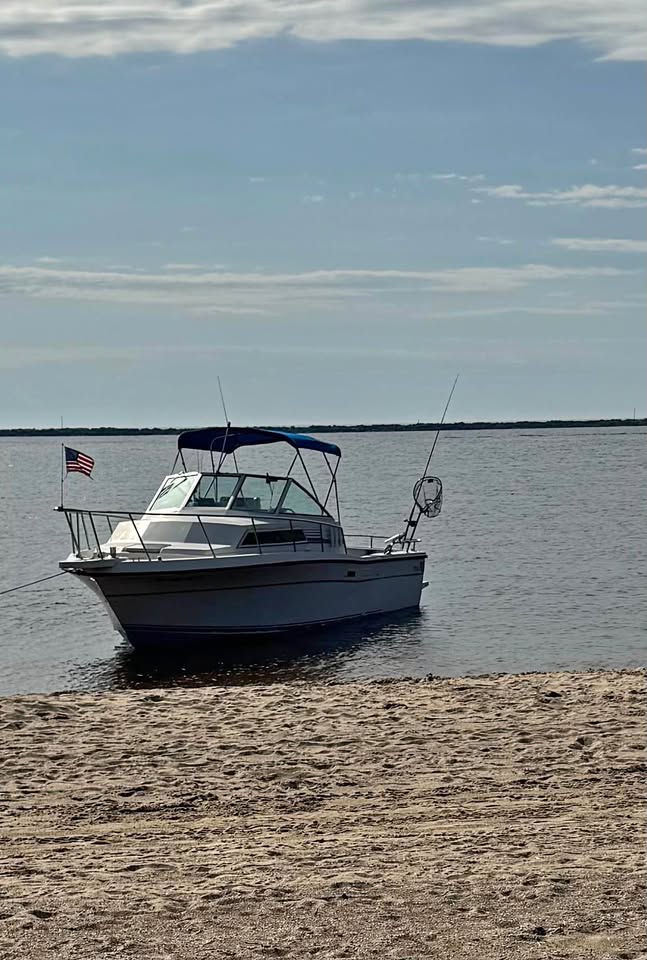 1989 Wellcraft Coastal 2800 for sale in Rockford, MI