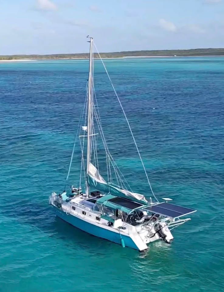 EndeavourCat for sale in Homosassa, FL