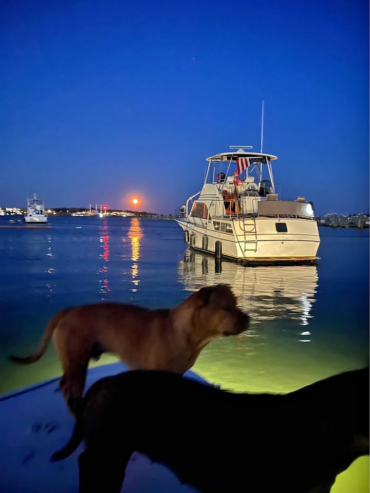 1981 Aft cabin Ocean Yacht for sale in New London, CT
