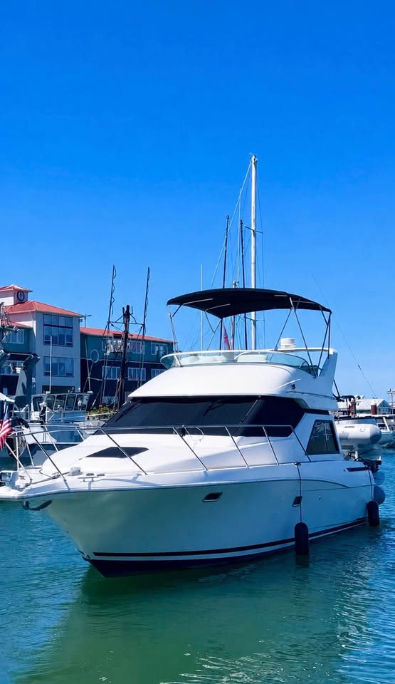 1996 Bayliner Avanti 3258 for sale in Portland, OR