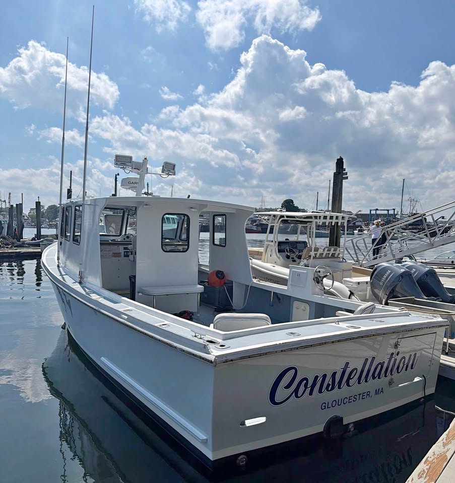 2026 BHM 31 for sale in Gloucester, MA