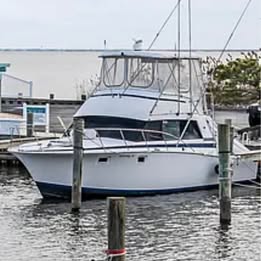 1980 Bertram Sportfishing for sale in Waretown, NJ