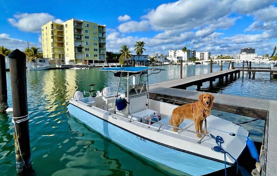 2018 Sea Cat sl1 for sale in Miami Beach, FL
