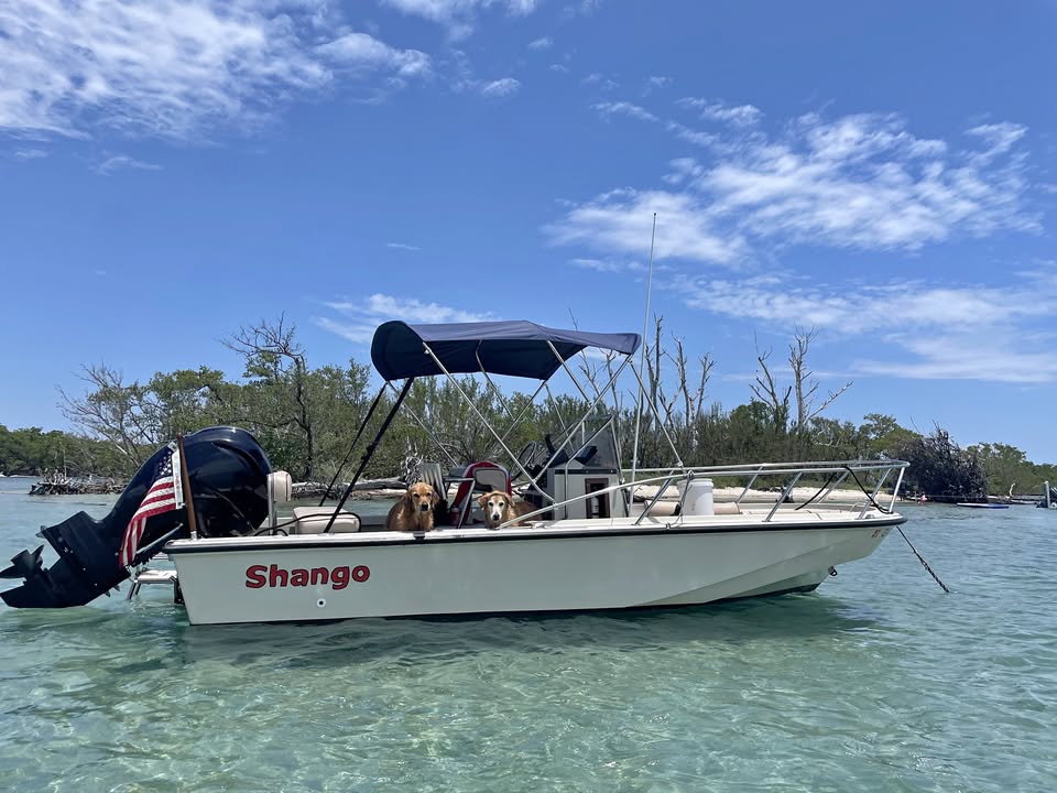 1987 Boston Whaler outrage 19 for sale in Vero Beach, FL