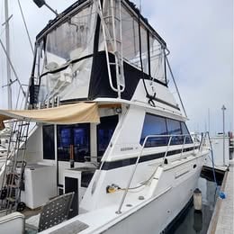 1977 Bertram 42 for sale in Los Angeles, CA