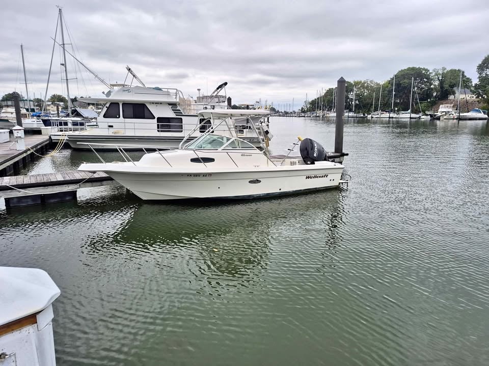 2001 Wellcraft 22 walkaround for sale in Saluda, VA