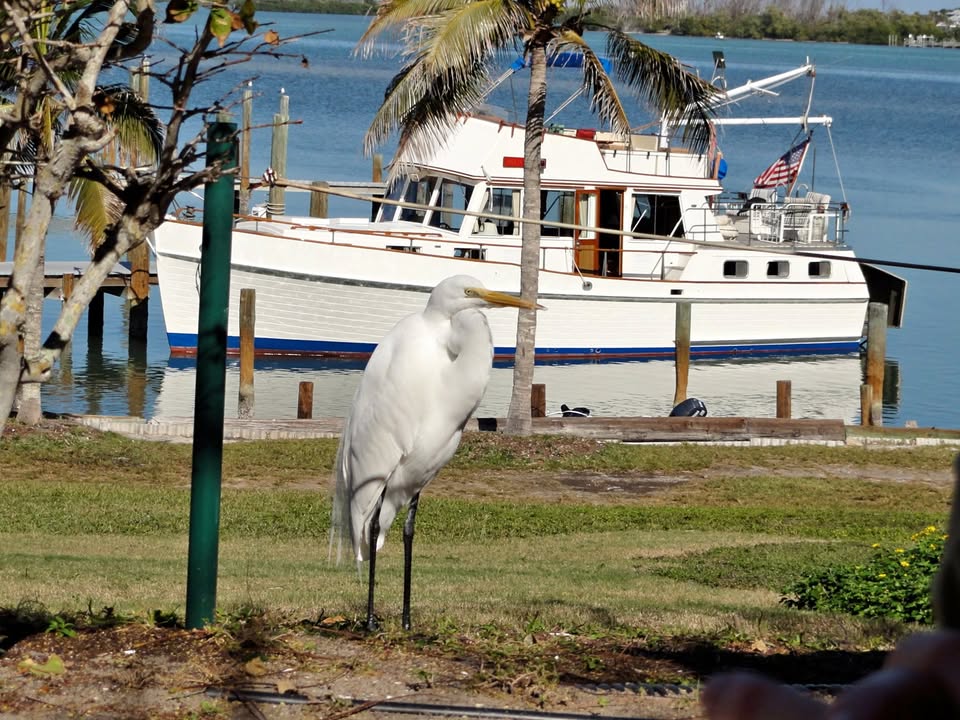 1985 Grand Banks Classic 42 Classic for sale in Punta Gorda, FL