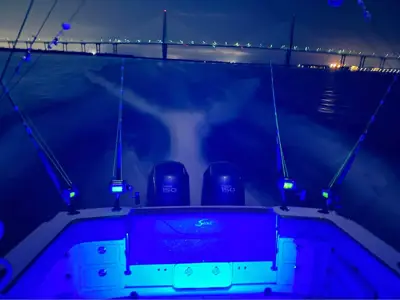 2006 Scout abaco 262