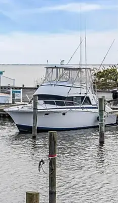 1980 Bertram Sportfishing