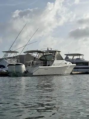 Pursuit 3370 OS 2006