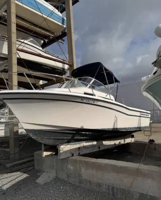 2000 Grady White 20ft