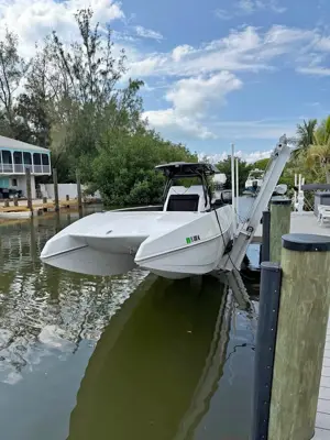 3100 Cobra predator cat