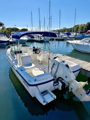 1999 20’ Boston Whaler Ventura