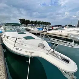 1994 Sea Ray Sundancer 270