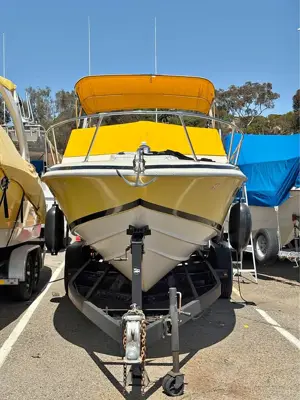 1979 Wellcraft 250 offshore nova