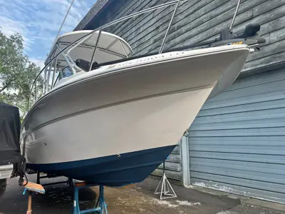 2010 SeaFox 236