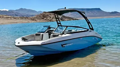 2025 YAMAHA AR190