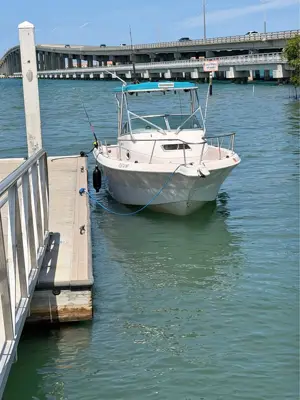 2000 Pro line Proline