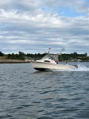 2006 Grady white sailfish 282
