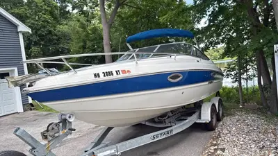 2009 Stingray License to chill