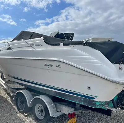 1996 Sea Ray 250
