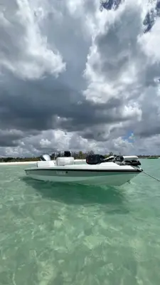 1993 Action Craft 18