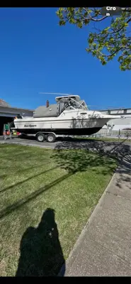 Sea sport 26walkaround
