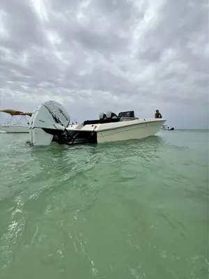 1996 viper 26cc 260 open