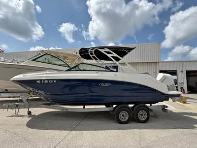 2023 Sea Ray 250 SDX OB