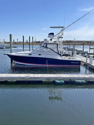 2001 3310 Proline Express