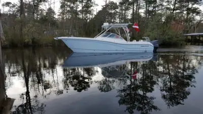 2018 World Cat 295DC