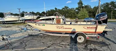 Boston Whaler Montauk 17