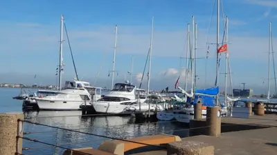 Moody Gardens Marina