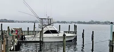 1984 Bertram 35 convertible sports fish